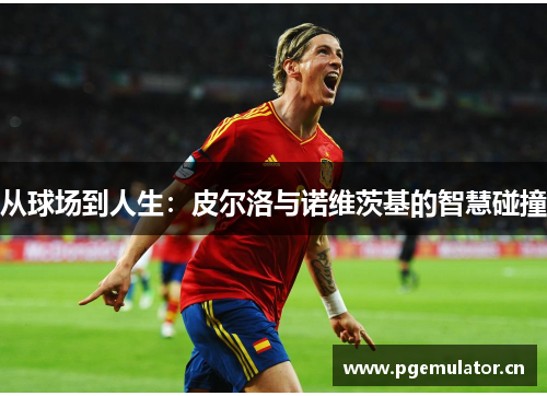 从球场到人生:皮尔洛与诺维茨基的智慧碰撞 从球场到人生:皮尔洛与诺维茨基的智慧碰撞