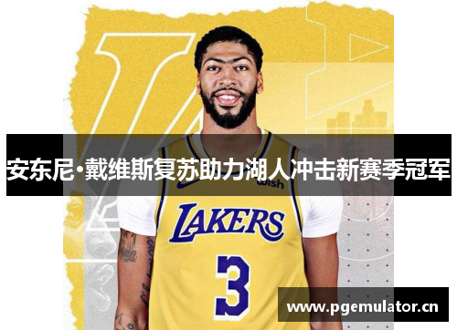 安东尼·戴维斯复苏助力湖人冲击新赛季冠军 安东尼·戴维斯复苏助力湖人冲击新赛季冠军