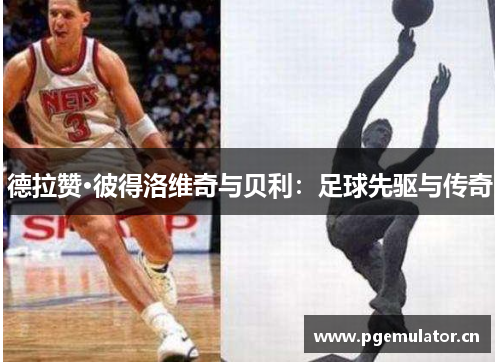 德拉赞·彼得洛维奇与贝利：足球先驱与传奇