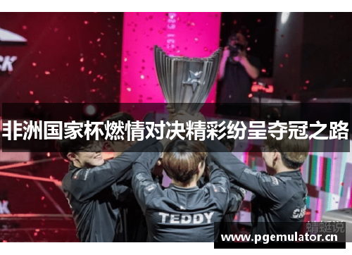 非洲国家杯燃情对决精彩纷呈夺冠之路