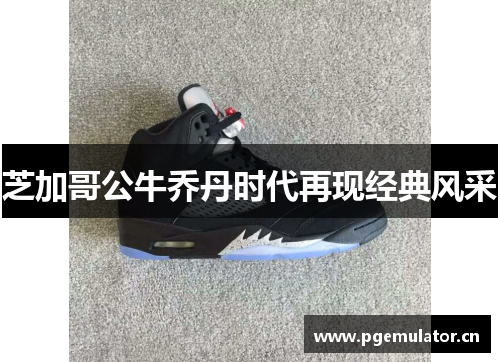 芝加哥公牛乔丹时代再现经典风采