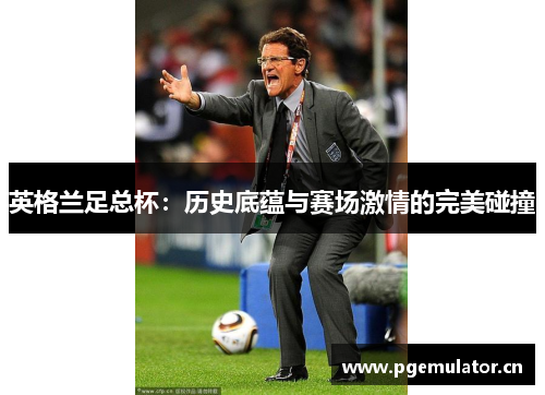英格兰足总杯：历史底蕴与赛场激情的完美碰撞